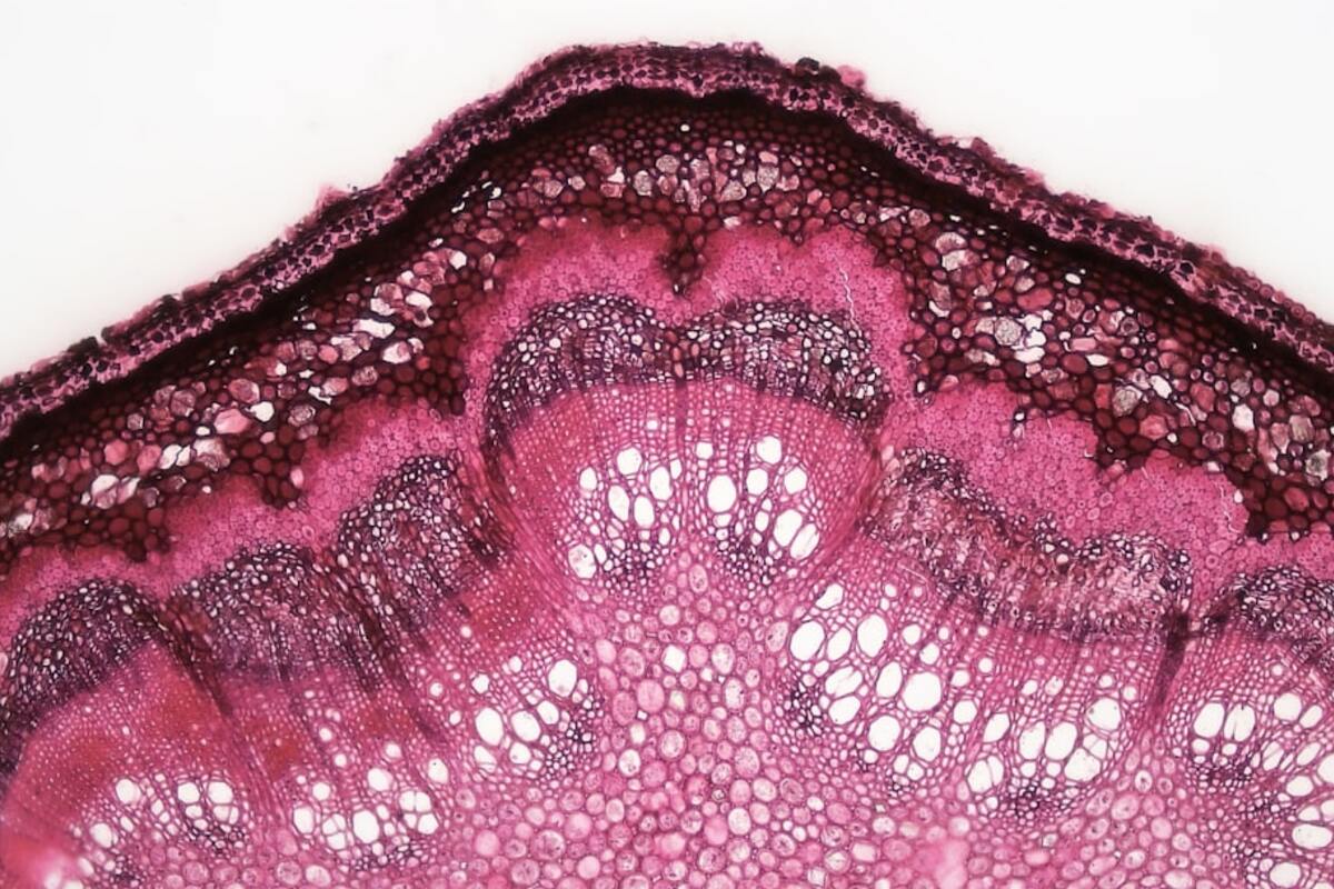 Skin Flooding 2.0: The Polyglutamic Acid Hydration Stack TikTok Can’t Stop Copying